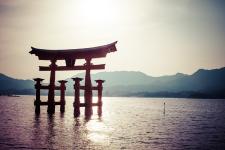 Inselhopping auf Japanisch: Mit Studiosus Honshu und ihre kleinen Nachbarn erleben
