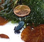 Neujahrsbaby im SEA LIFE Hannover