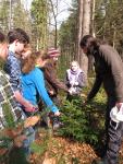 Zertifizierte Waldpädagoginnen und Waldpädagogen treffen sich im Harz
