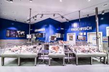 Die beste Fischtheke in Deutschland steht im Selgros Cash & Carry-Markt in Gersthofen