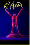 Der "Circus FlicFlac" kommt nach Augsburg