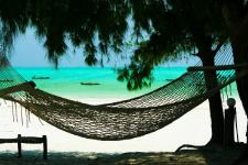 Wer kann sich schon ein Sabbatical leisten? - Dank Zeitwertkonto? Viele!