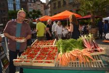 Internationales Streetfood und Weine zum Fachsimpeln