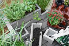 Urban Gardening mit Bio-Kräutern und Bienenschmaus