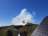 Waldeigentümer warnen vor Waldbrandgefahr