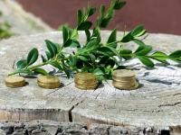 Ist Nachhaltigkeit in Sachen Geld - die bessere Alternative?