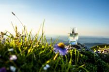 Eau de Parfum weckt Sehnsucht nach Oberstaufen