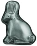 Hase & Co. in Hochform