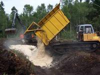 Neues Leben in Sollingmooren