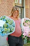 Blühende Geschenkidee: Hortensien in Babyblau und Rosa
