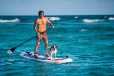 Conseils d'achat utiles du professionnel de SUP