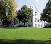 Ein Fest für die Krokus-Blüte im Bad Honnefer Kurpark
