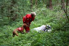 1000 Einsatzkräfte bei Landeskatastrophenschutzübung in Lilienfeld