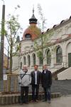 Neue Baumbepflanzung auf dem Felsenkeller-Gelände vorgenommen