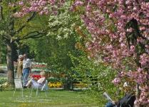 Bad Füssings preisgekrönter Kurpark: Blühende "Heilquelle" für alle Sinne
