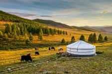 Mongolei Rundreise "Im Herzen der Mongolei"