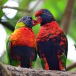 Herzklopfen in Hellabrunn an Valentinstag