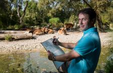 Tierisch kreativ: Zeichenkurse im Tierpark Hellabrunn