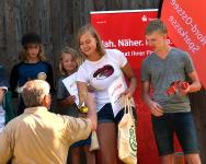 Schleswig-Holstein- Solarcup: Êndläufe in den Herbst verschoben