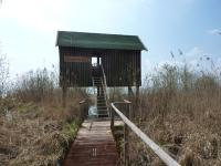 Beobachtungsturm an der Müritz gesperrt