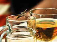 Wespen- und Bienenstiche