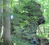 NATURDENKMAL Der Heinzemann mit seinen 12 Hühnern