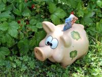 Wenn das Sparschwein stöhnt...