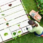 Beetplanung leicht gemacht