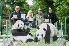 Giant Panda Best Friends Award 2019