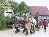 Fuhrmannstag im Freilichtmuseum