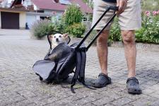 Sweetypet 2in1-Hunde-Trolley und Rucksack mit Sichtfenster, bis 20 kg, anthrazit