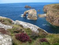 Cornwall - Land der Gärten, Hecken und Steilküsten