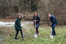 Spatenstich für die neue Löwenanlage