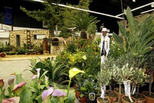 DiGA - Gartenmesse in Offenburg
