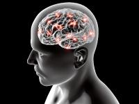 Expertenchat zum Welt-Parkinson-Tag 2014 am 12.4.18 unter www.sprechstunde.chat