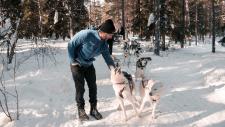 singlereisen.de: Weihnachten in Schweden für Singles – Das Lappland Feeling hautnah mit Huskys, Elchen, Eisbrecher in atemberaubender Natur erleben!