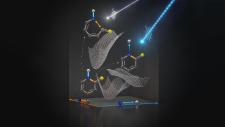 Protonentransfer: Forscher finden molekularen Schutzmechanismus gegen lichtinduzierte Schädigungen
