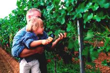 "Voller Optimismus in den Herbst"