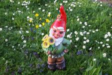 Ab in den Schrebergarten: Sommerfest im Senioren-Wohnpark Oberhausen