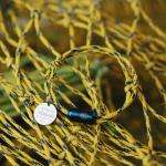Huckleberry Finn - das erste Hamburger Inklusions-Hausboot