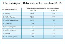 Winzer setzen auf weiße Burgundersorten