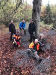 Das Bergwaldprojekt e.V. im Nationalpark