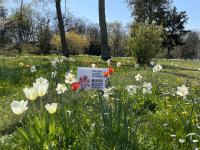 1. Mai - Saisonbeginn im Europa-Rosarium