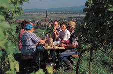 „Weintourismus in Baden und Elsass“
