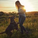 Ida Plus Artisan forte - Für Hunde voller Tatendrang