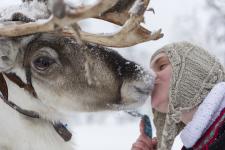 7 gute Gründe für eine Reise nach Finnland im Winter