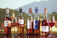 Frisch-dezent-feinherb: Rosé