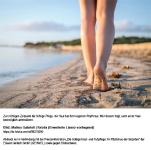 Im Rhythmus der Gezeiten