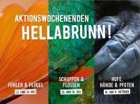 Besucherveranstaltungen 2020: "Affenstarke Erlebnisse" in Hellabrunn