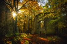 Naturpark Hirschwald ist Qualitätsnaturpark